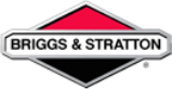 Logo Briggs & Station